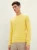 tom-tailor-sweter-meski-zolty-profil.jpg